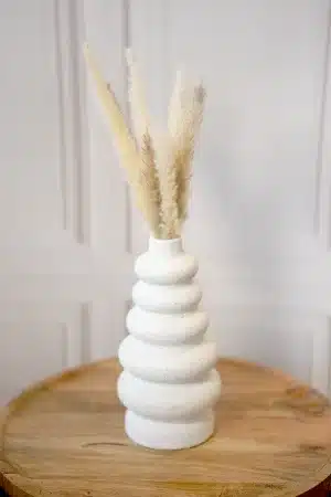 פאמפס בוואזה