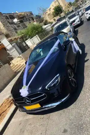 קישוט רכב איקס וגיבסנית בידיות