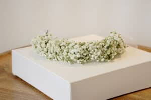 זר לראש גיבסנית