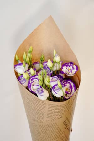 באנץ’ ליזי סגול לבן