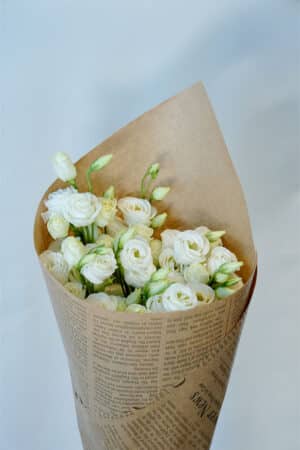 באנץ’ ליזי לבן