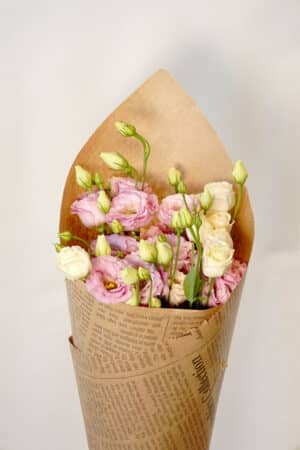 באנץ’ ליזי ורוד