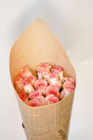 באנץ’ ורדי ג׳ומיליה