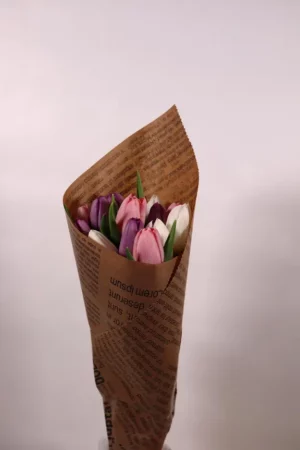 באנץ׳ טוליפים - 15 יחידות