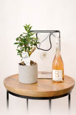 מארז ארץ ישראל