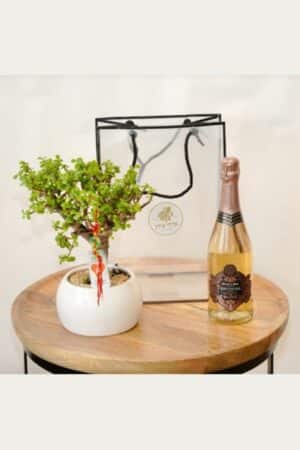 מארז התחלה חדשה