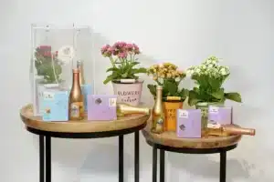 מארז ירין